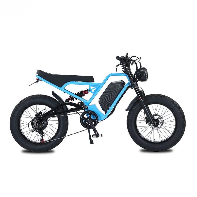RRE QQA 13Ah 리튬 배터리, 48V, 750W - 48V 1500W Rear Hub Motor With Battery 리뷰 및 가격